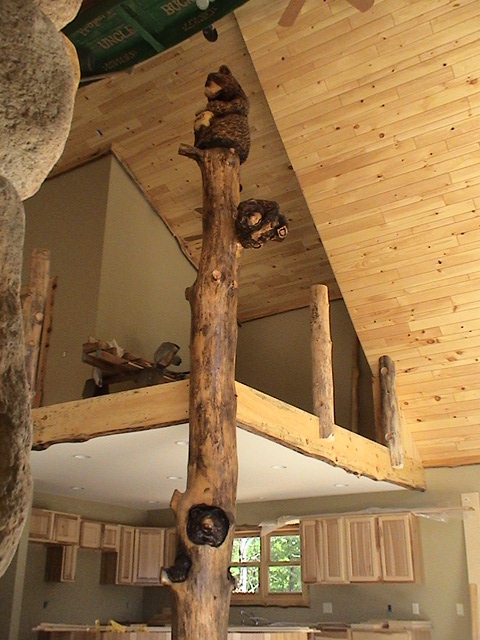 Bears on Tree